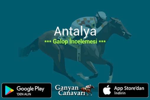 9 Nisan 2026 Perşembe Antalya Galop İncelemesi