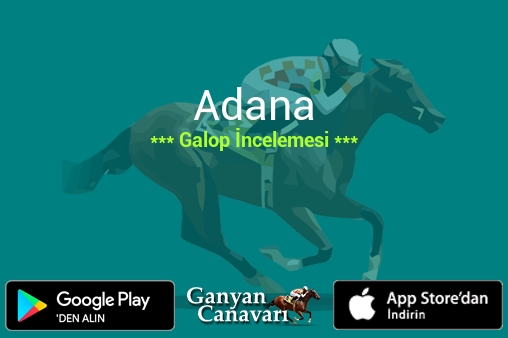 13 Eylül 2026 Pazar Adana Galop İncelemesi