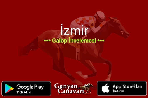 9 Ağustos 2026 Pazar İzmir Galop İncelemesi