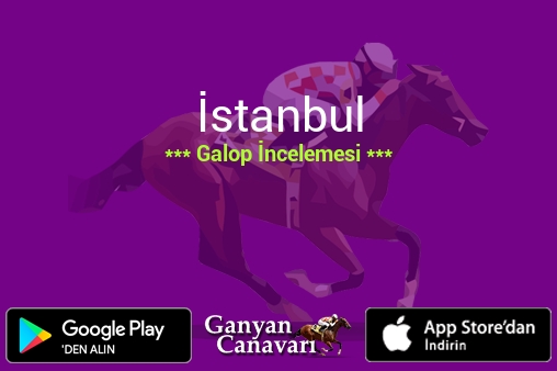 7 Ağustos 2026 Cuma İstanbul Galop İncelemesi