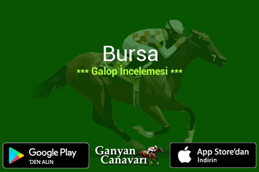 7 Ağustos 2026 Cuma Bursa Galop İncelemesi