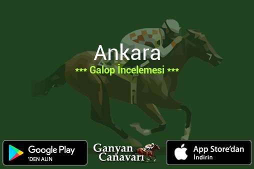 4 Ağustos 2026 Salı Ankara Galop İncelemesi