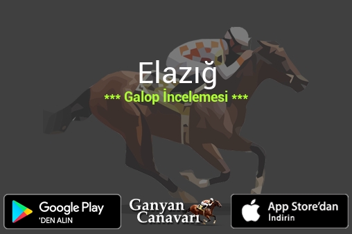 15 Nisan 2026 Çarşamba Elazığ Galop İncelemesi