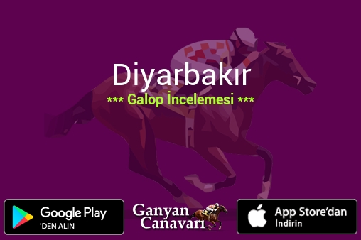 8 Ağustos 2026 Cumartesi Diyarbakır Galop İncelemesi