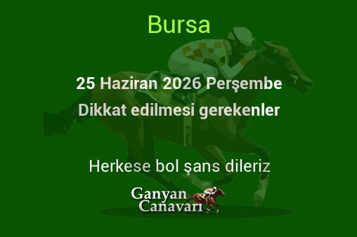 25 Haziran 2026 Perşembe Bursa yarışlarında dikkat edilmesi gerekenler