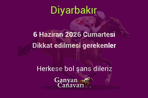 6 Haziran 2026 Cumartesi Diyarbakır yarışlarında dikkat edilmesi gerekenler
