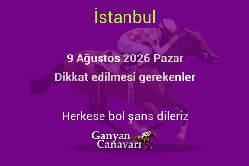 9 Ağustos 2026 Pazar İstanbul yarışlarında dikkat edilmesi gerekenler