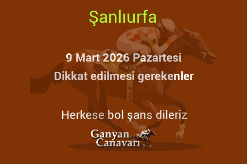 9 Mart 2026 Pazartesi Şanlıurfa yarışlarında dikkat edilmesi gerekenler
