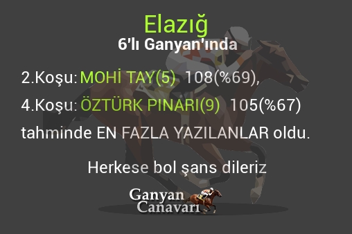 Elazığ Altılı Ganyanında; En fazla yazılanlar belli oldu