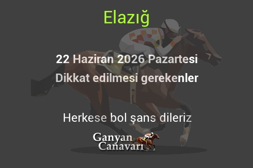 22 Haziran 2026 Pazartesi Elazığ yarışlarında dikkat edilmesi gerekenler