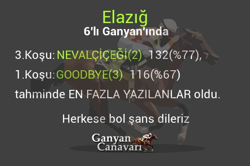 Elazığ Altılı Ganyanında; En fazla yazılanlar belli oldu