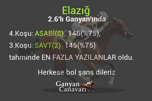Elazığ 2.Altılı Ganyanında; En fazla yazılanlar belli oldu