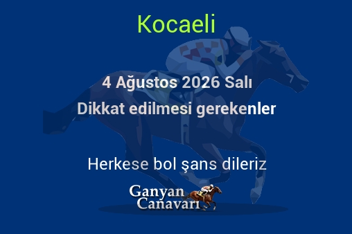 4 Ağustos 2026 Salı Kocaeli yarışlarında dikkat edilmesi gerekenler