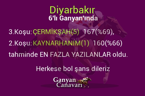 Diyarbakır Altılı Ganyanında; En fazla yazılanlar belli oldu