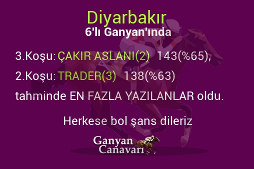 Diyarbakır Altılı Ganyanında; En fazla yazılanlar belli oldu