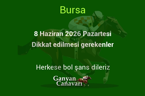 8 Haziran 2026 Pazartesi Bursa yarışlarında dikkat edilmesi gerekenler