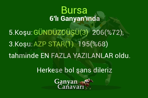 Bursa Altılı Ganyanında; En fazla yazılanlar belli oldu