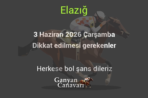3 Haziran 2026 Çarşamba Elazığ yarışlarında dikkat edilmesi gerekenler