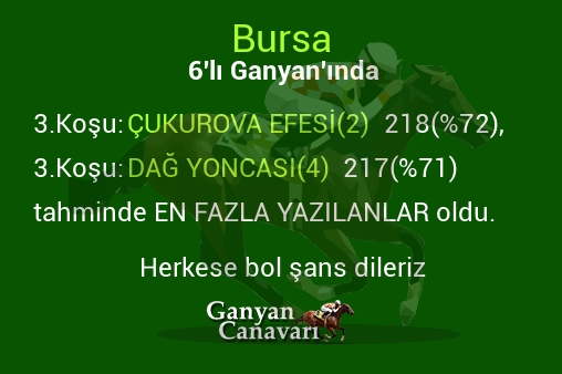 Bursa Altılı Ganyanında; En fazla yazılanlar belli oldu
