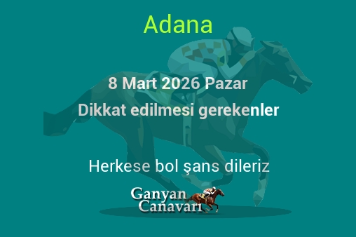 8 Mart 2026 Pazar Adana yarışlarında dikkat edilmesi gerekenler