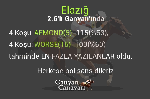 Elazığ 2.Altılı Ganyanında; En fazla yazılanlar belli oldu