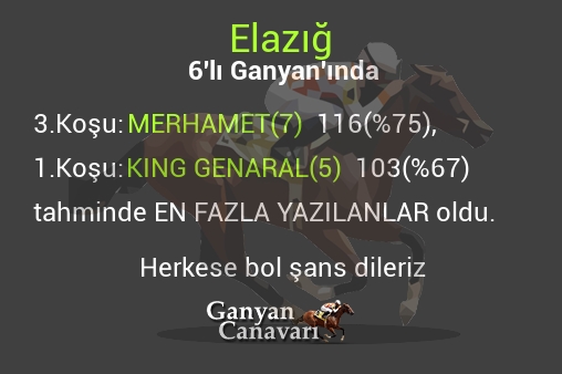 Elazığ Altılı Ganyanında; En fazla yazılanlar belli oldu