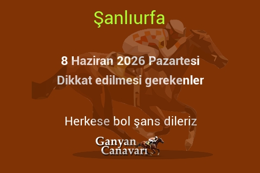 8 Haziran 2026 Pazartesi Şanlıurfa yarışlarında dikkat edilmesi gerekenler