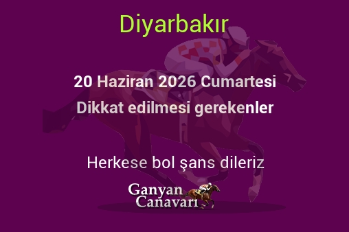 20 Haziran 2026 Cumartesi Diyarbakır yarışlarında dikkat edilmesi gerekenler