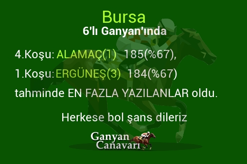 Bursa Altılı Ganyanında; En fazla yazılanlar belli oldu