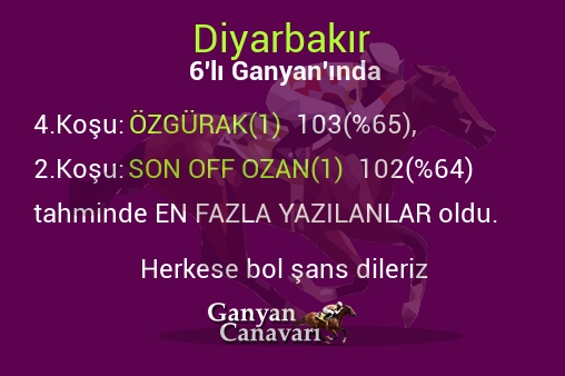 Diyarbakır Altılı Ganyanında; En fazla yazılanlar belli oldu