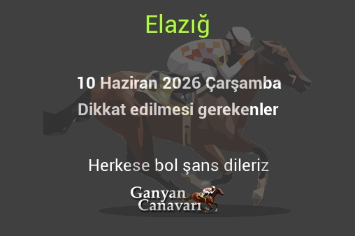 10 Haziran 2026 Çarşamba Elazığ yarışlarında dikkat edilmesi gerekenler