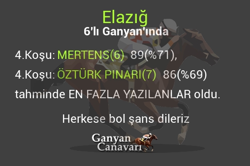 Elazığ Altılı Ganyanında; En fazla yazılanlar belli oldu
