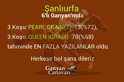 Şanlıurfa Altılı Ganyanında; En fazla yazılanlar belli oldu