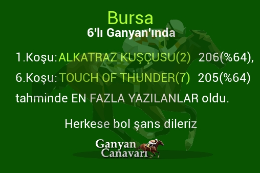 Bursa Altılı Ganyanında; En fazla yazılanlar belli oldu