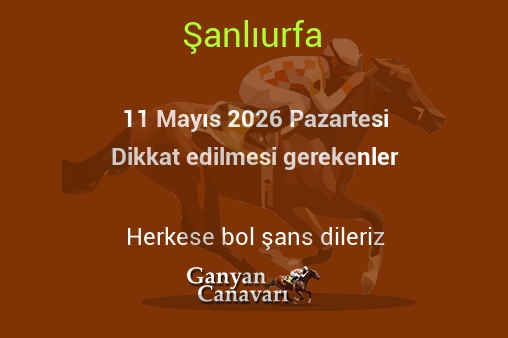 11 Mayıs 2026 Pazartesi Şanlıurfa yarışlarında dikkat edilmesi gerekenler