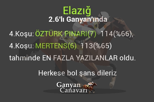 Elazığ 2.Altılı Ganyanında; En fazla yazılanlar belli oldu