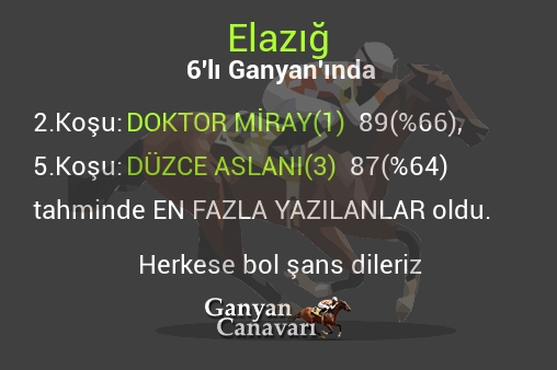 Elazığ Altılı Ganyanında; En fazla yazılanlar belli oldu