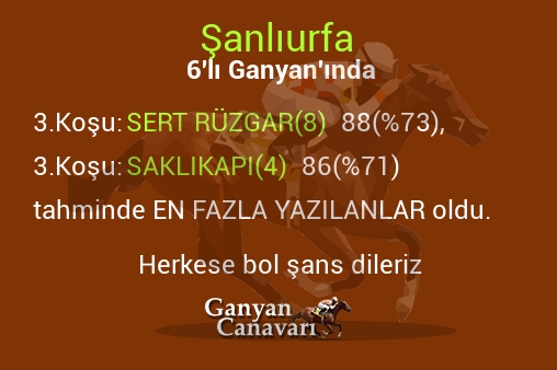 Şanlıurfa Altılı Ganyanında; En fazla yazılanlar belli oldu