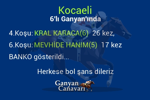 Kocaeli Altılı Ganyanında; Bankolar belli oldu.