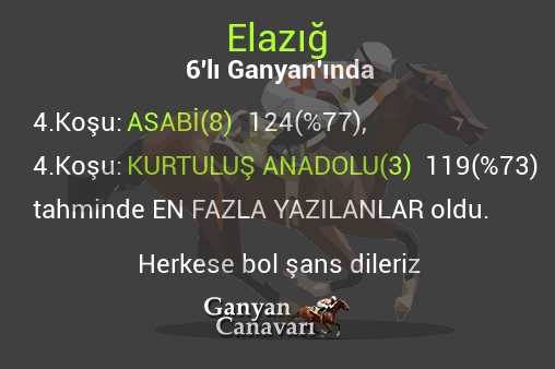 Elazığ Altılı Ganyanında; En fazla yazılanlar belli oldu