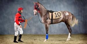 gozlekgokhan094@gmail.com