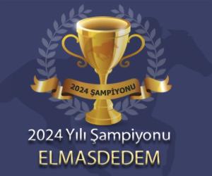 ELMASDEDEM