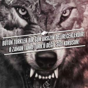 EN İYİSİ  (  THE  BEST  )