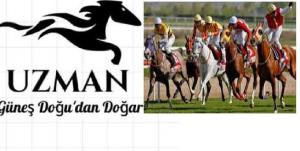 At Yarışı Analiz Uzmanı Mersin 33