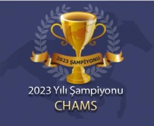Chams