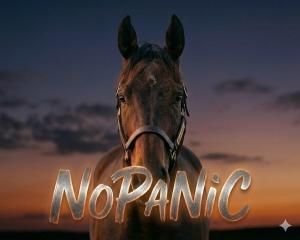 NoPaNiC__61