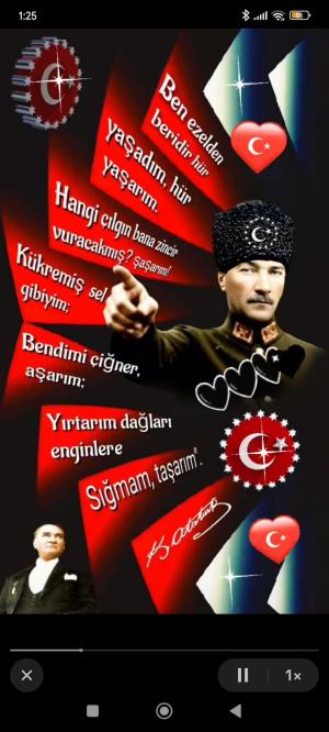 AHIRIN KULAĞI 