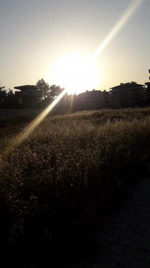 tahminci dayı derler