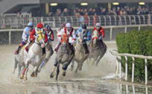 🐎Bornovalı🐎