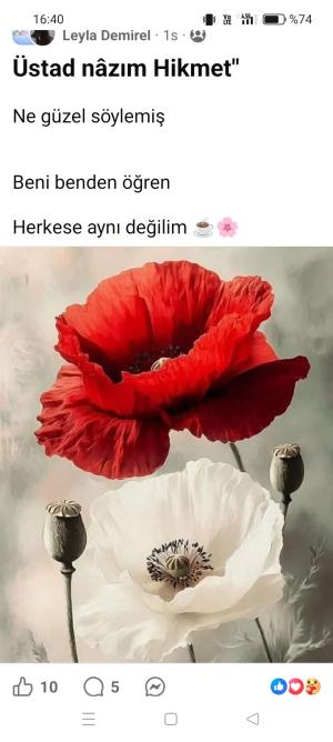 sezeri